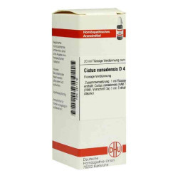 Cistus Canadensis D 4 Dilution (20 ml) – PZN 2611216