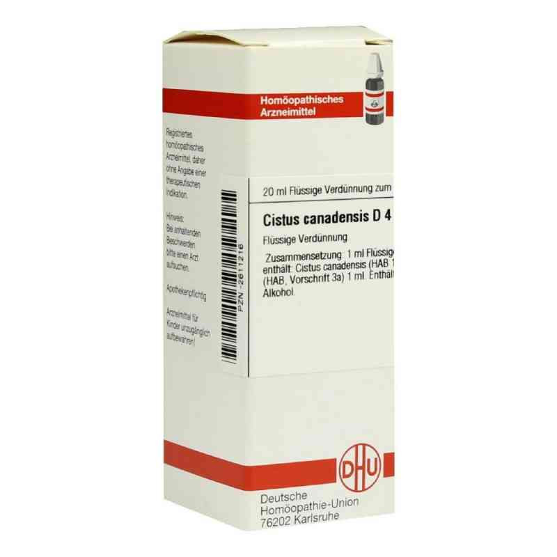 Cistus Canadensis D 4 Dilution (20 ml) – PZN 2611216