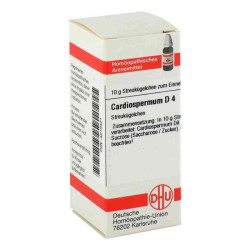 Cardiospermum D 4 Globuli (10 g) – PZN 4210421