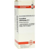 Ceanothus Americanus D 3 Dilution (20 ml) – PZN 4211372