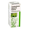 Carminativum Hetterich Balance Tropfen zum Einnehmen  (20 ml) – PZN 10346567