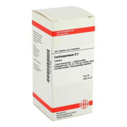 Cardiospermum D 2 Tabletten (200 stk) – PZN 4210496