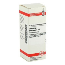 Ceanothus Americanus D 2 Dilution (20 ml) – PZN 2896176