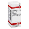 Cina C 30 Globuli (10 g) – PZN 2896816