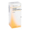 Cactus Compositum S Liquidum (100 ml) – PZN 4562166