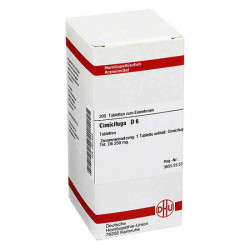 Cimicifuga D 6 Tabletten (200 stk) – PZN 2801649