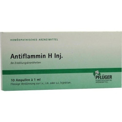 ANTIFLAMMIN H INJ, 10X1 ML – PZN 4842090