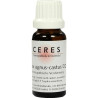 CERES Vitex agnus-castus D 2, 20 ML – PZN 5143833