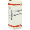 Chelidonium C 6 Dilution (20 ml) – PZN 7164236