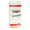 Calcium Carbonicum D 2 Tabletten Hahnemanni (80 stk) – PZN 2627097