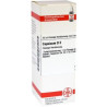 Capsicum D 3 Dilution (20 ml) – PZN 2609805