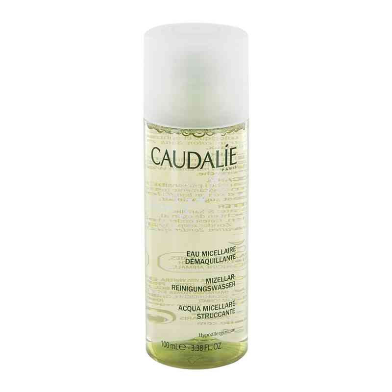 Caudalie Reinigungswasser (100 ml) – PZN 6898841