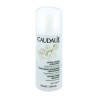 Caudalie Gesichtstonic (100 ml) – PZN 6952285