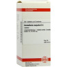Convallaria Majalis D 4 Tabletten (200 stk) – PZN 4213804