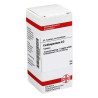 Cardiospermum D 3 Tabletten (80 stk) – PZN 3486486