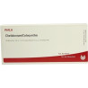 CHELIDONIUM/COLOCYNTHIS, 10X1 ML – PZN 1751228