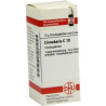 Cinnabaris C 10 Globuli (10 g) – PZN 7164940
