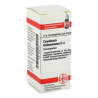 Causticum Hahnemanni D 4 Globuli (10 g) – PZN 2896124