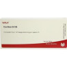 Cochlea Gl D 6 Ampullen (10X1 ml) – PZN 2912780