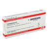 Cardiospermum D 6 Ampullen (10X1 ml) – PZN 2823444