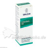 CALENDULA Augentropfen D4, 10 ML – PZN 1572371