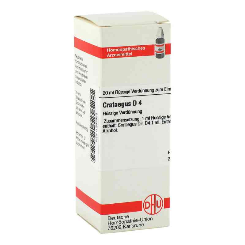 Crataegus D 4 Dilution (20 ml) – PZN 1767873