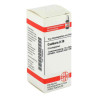 Cantharis D 30 Globuli (10 g) – PZN 2895604