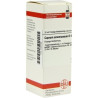 CUPRUM ARSENIC D 6, 20 ML – PZN 2897589