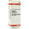 Chimaphila Umbellata D 3 Dilution (20 ml) – PZN 2610642