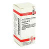 Conium D 10 Globuli (10 g) – PZN 4213715