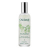 Caudalie Eau de beaute Spray (100 ml) – PZN 5457075