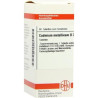 Cadmium Metallicum D 30 Tabletten (80 stk) – PZN 7455241
