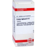 Croton Tiglium D 12 Tabletten (80 stk) – PZN 7166040