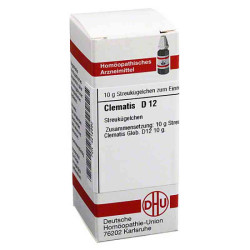 Clematis D 12 Globuli (10 g) – PZN 4212880