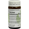 Calcium carbonicum Phcp, 20 G – PZN 359511