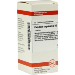 Caladium Seguinum D 12 Tabletten (80 stk) – PZN 2626956