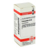 Colocynthis D 30 Globuli (10 g) – PZN 1767407