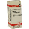 Calcium Sulfuricum D 200 Globuli (10 g) – PZN 7455488