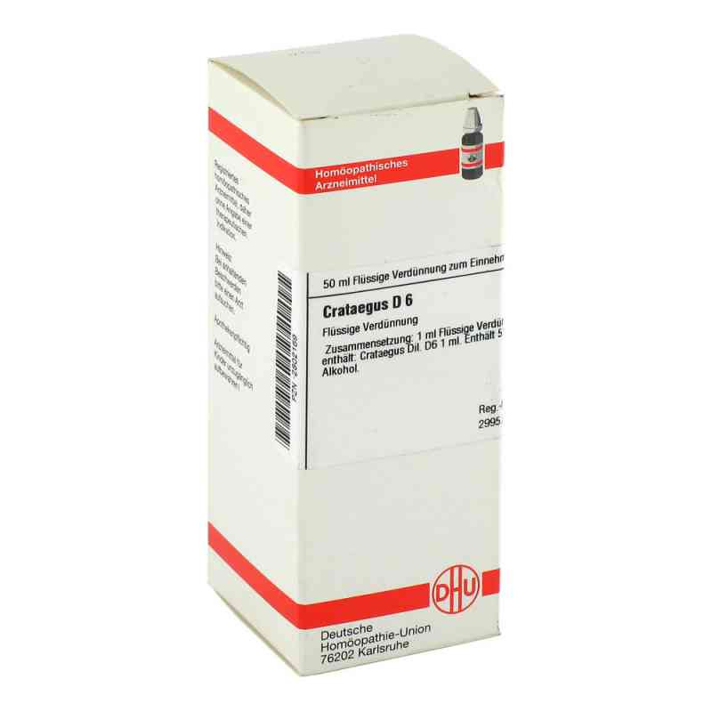 Crataegus D 6 Dilution (50 ml) – PZN 2802169