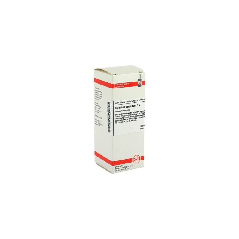 Caladium Seguinum D 2 Dilution (50 ml) – PZN 2894935
