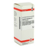 Caladium Seguinum D 2 Dilution (50 ml) – PZN 2894935