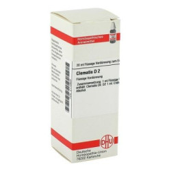 Clematis D 2 Dilution (20 ml) – PZN 2112803