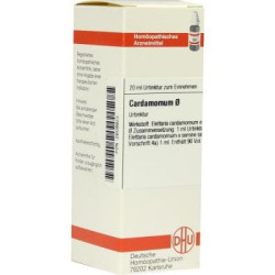 Cardamomum Urtinktur = D 1 (20 ml) – PZN 2609923