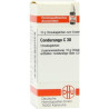 Condurango C 30 Globuli (10 g) – PZN 566