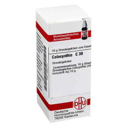 Colocynthis C 30 Globuli (10 g) – PZN 2897141