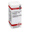 Colocynthis C 30 Globuli (10 g) – PZN 2897141