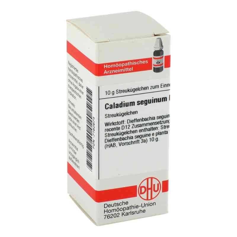 Caladium Seguinum D 12 Globuli (10 g) – PZN 7162674