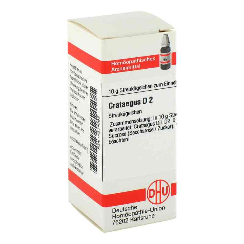Crataegus D 2 Globuli (10 g) – PZN 4214063