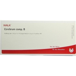 CEREBRUM COMP B, 10X1 ML – PZN 1751180