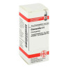 Chamomilla C 6 Globuli (10 g) – PZN 3631557